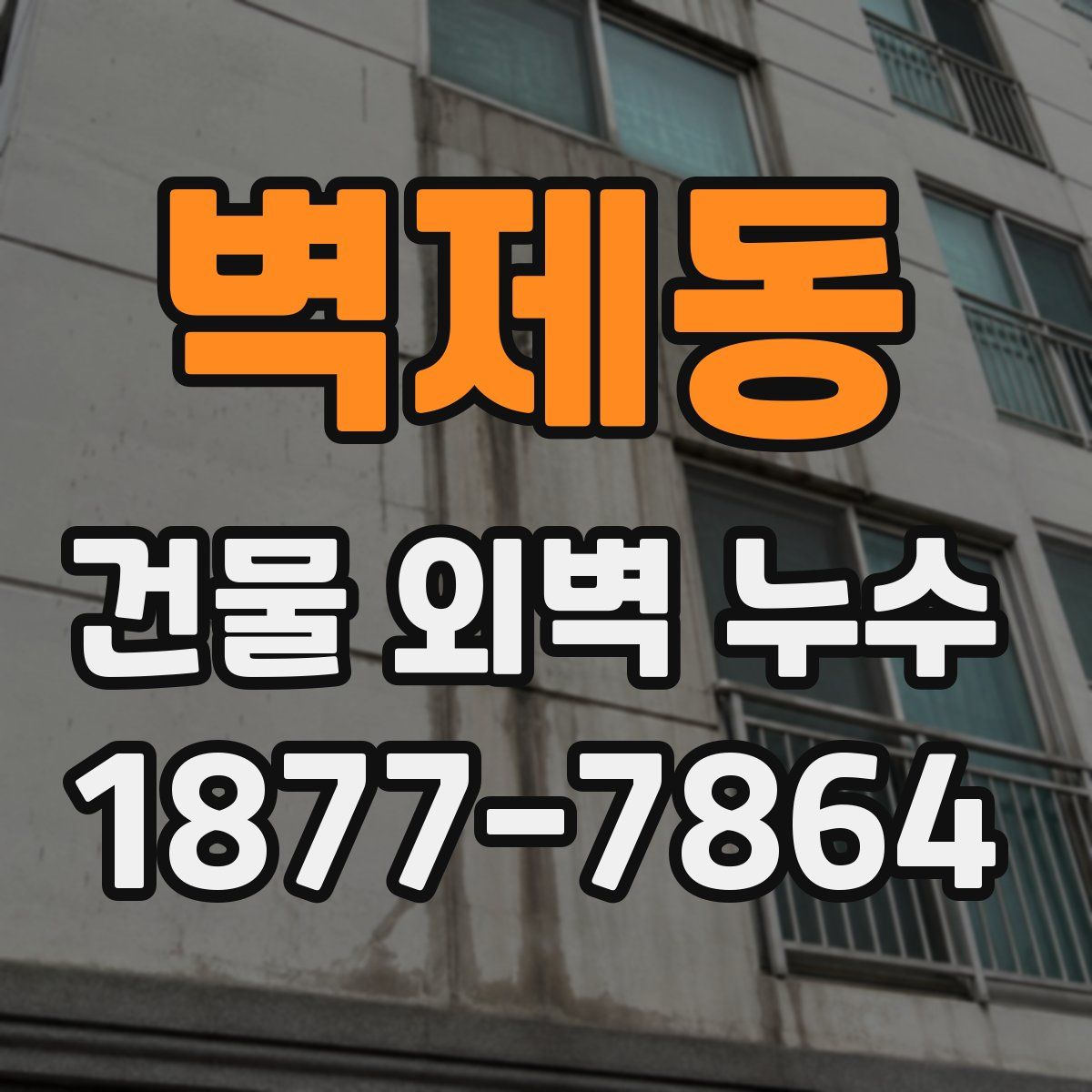 벽제동 건물 외벽 누수