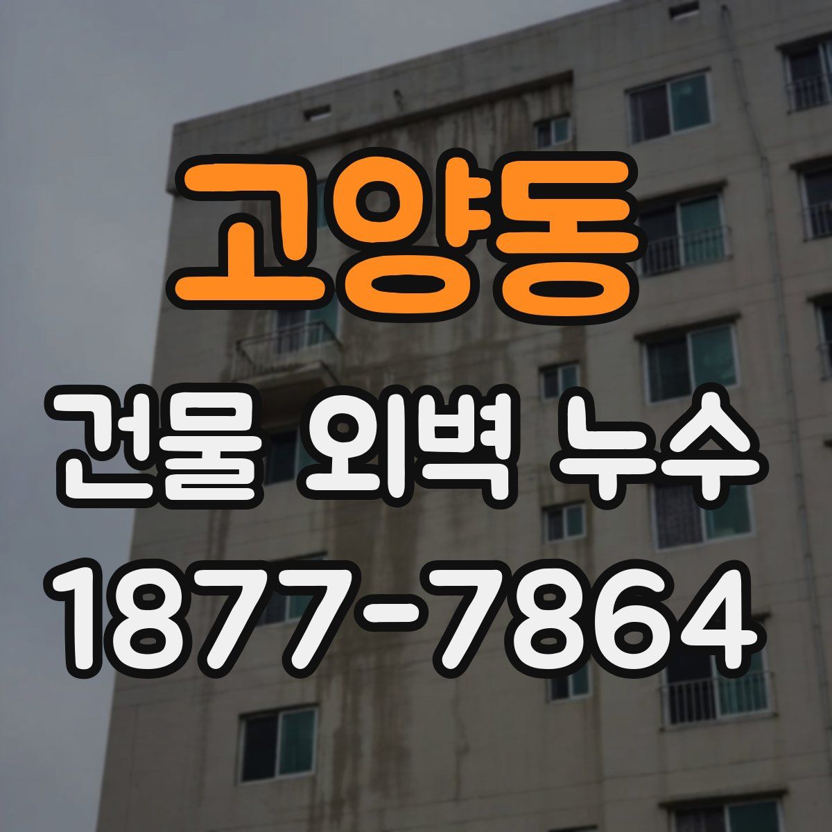 고양동 건물 외벽 누수
