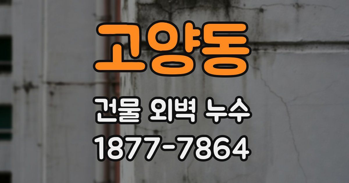 고양동 건물 외벽 누수