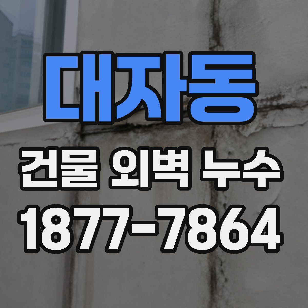 대자동 건물 외벽 누수