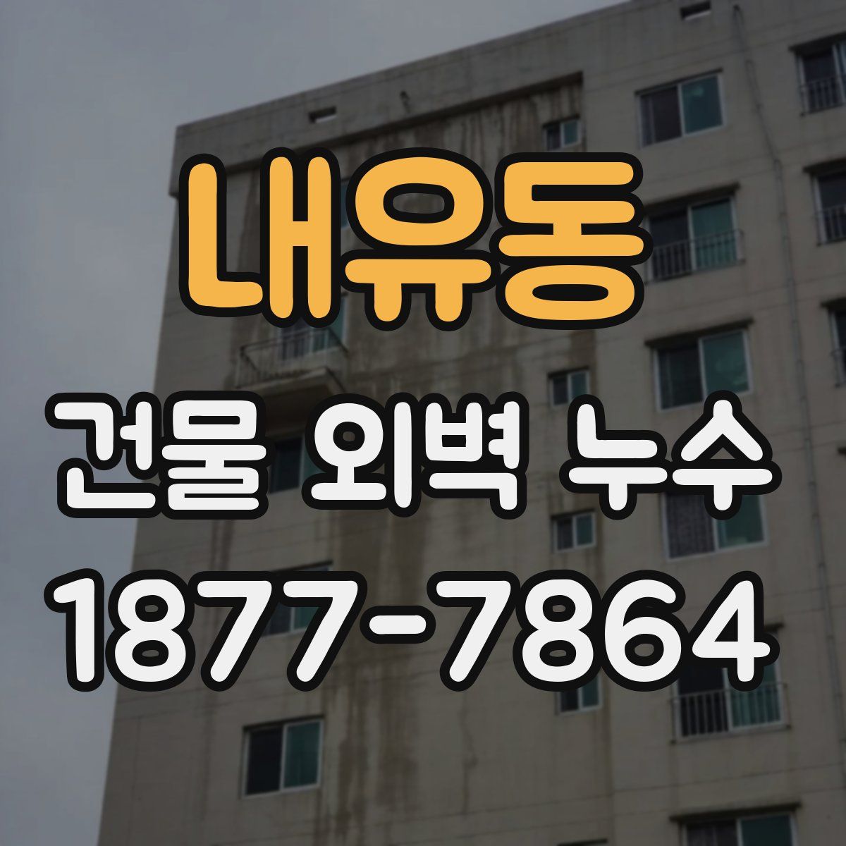 내유동 건물 외벽 누수