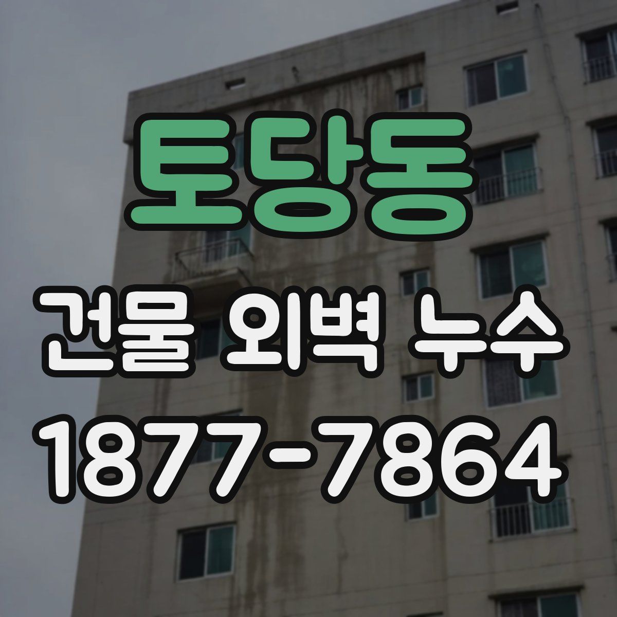 토당동 건물 외벽 누수