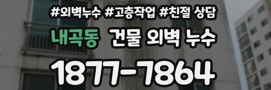 내곡동 건물 외벽 누수