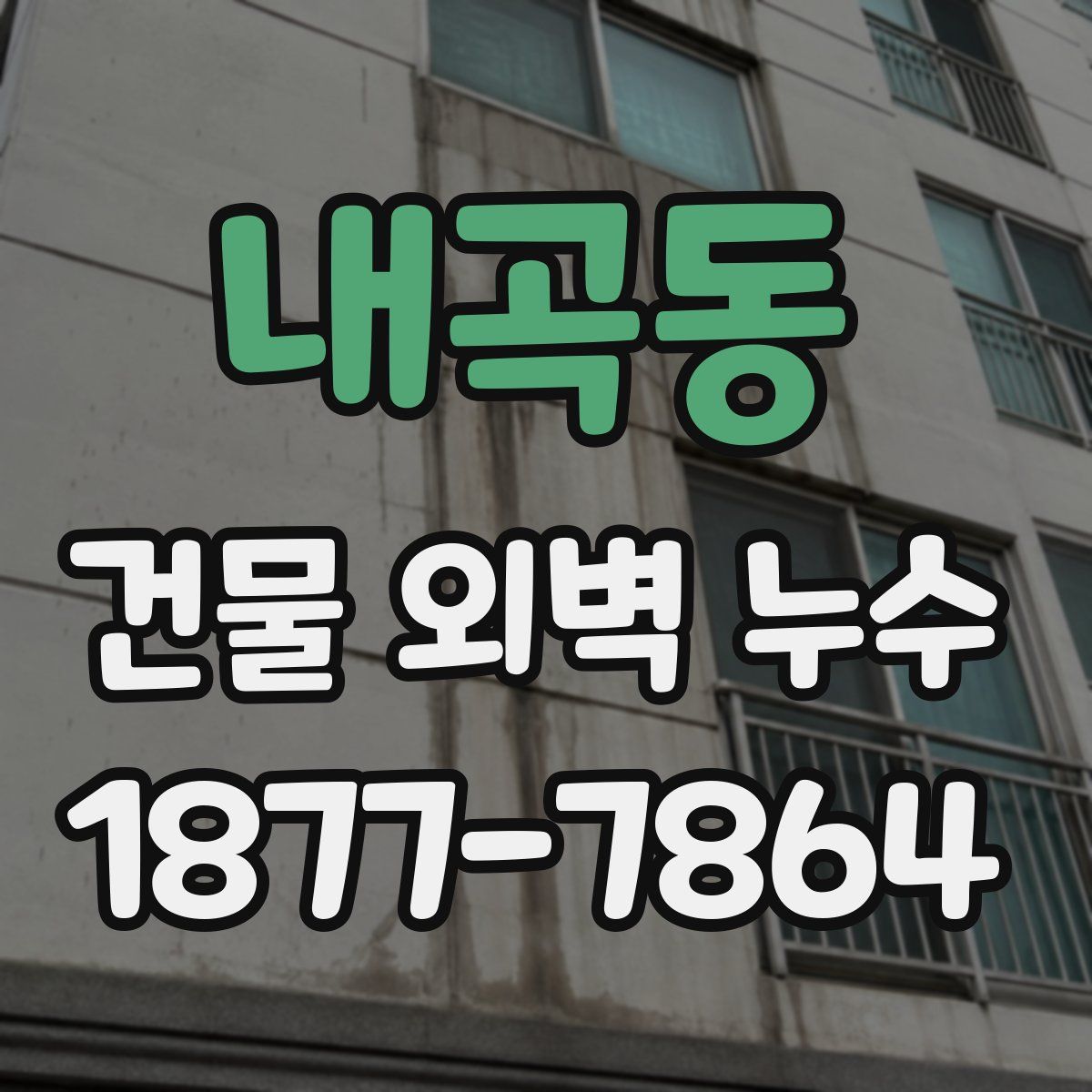 내곡동 건물 외벽 누수
