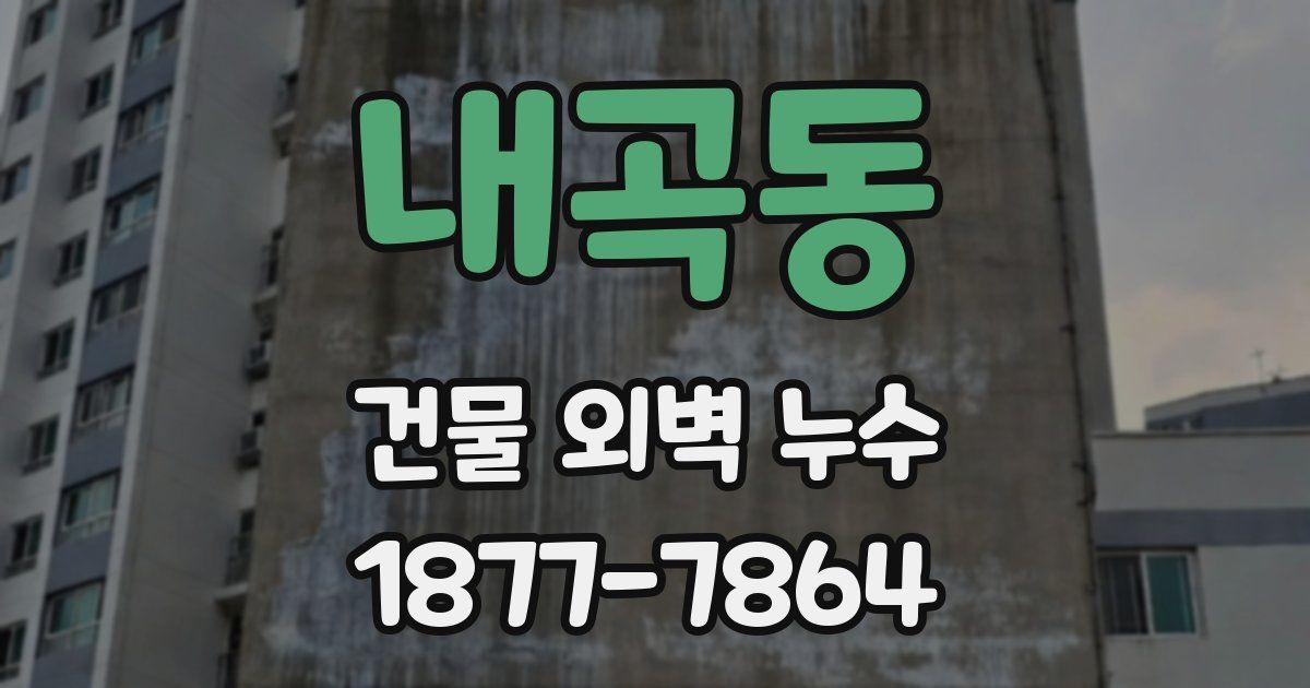 내곡동 건물 외벽 누수