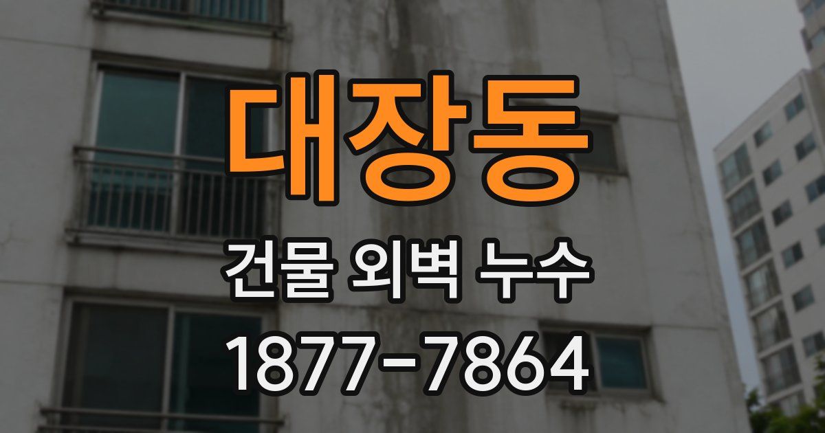 대장동 건물 외벽 누수