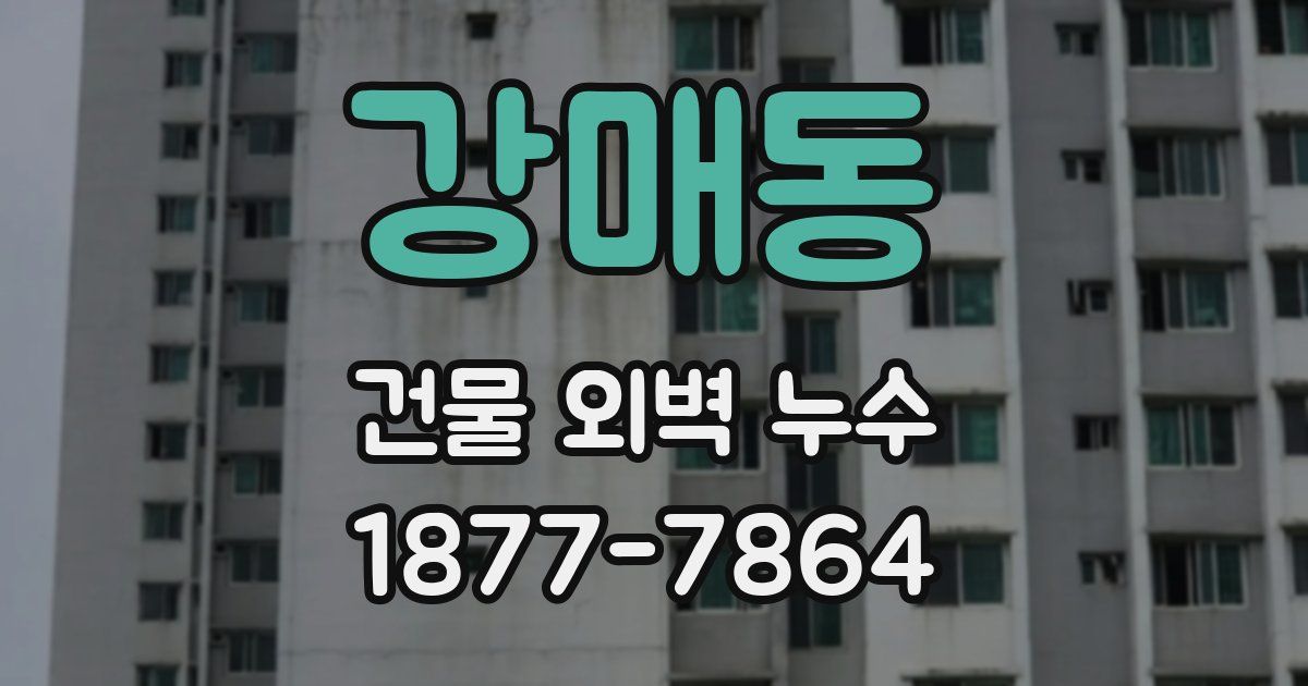 강매동 건물 외벽 누수