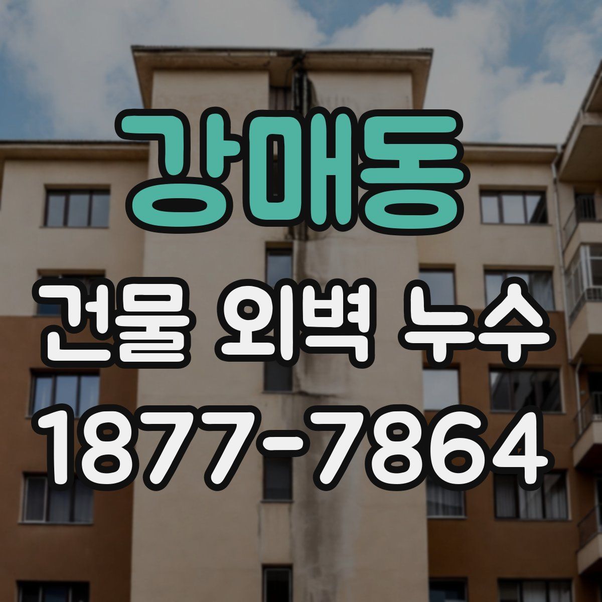 강매동 건물 외벽 누수