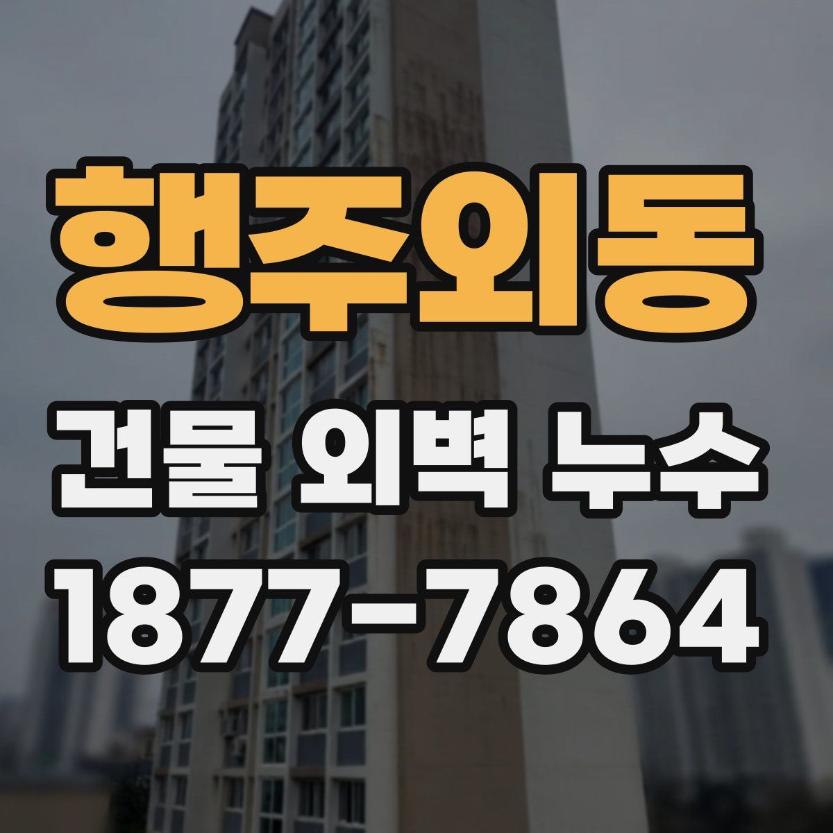행주외동 건물 외벽 누수