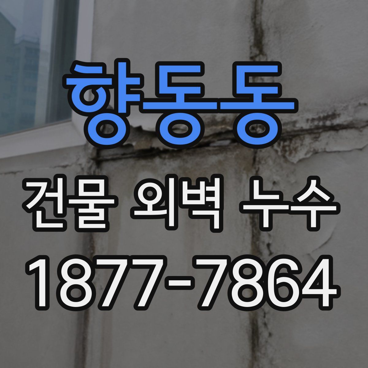 향동동 건물 외벽 누수