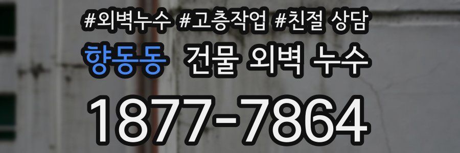 향동동 건물 외벽 누수