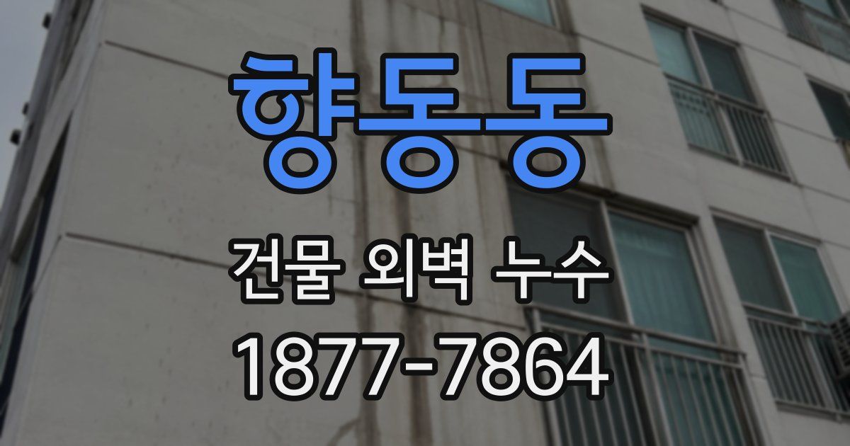 향동동 건물 외벽 누수