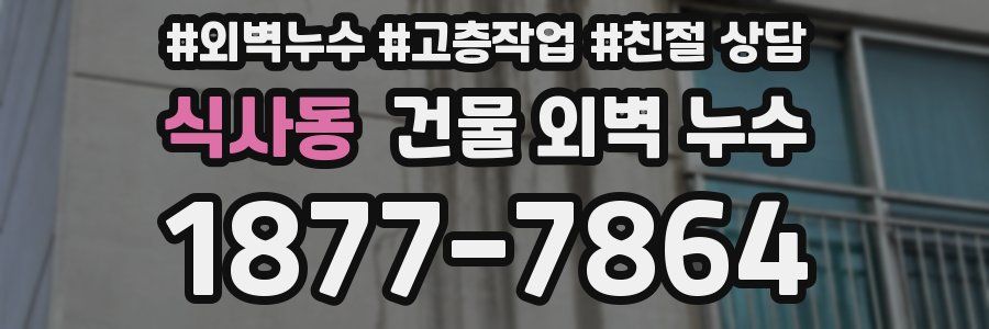 식사동 건물 외벽 누수