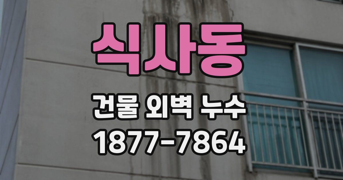 식사동 건물 외벽 누수