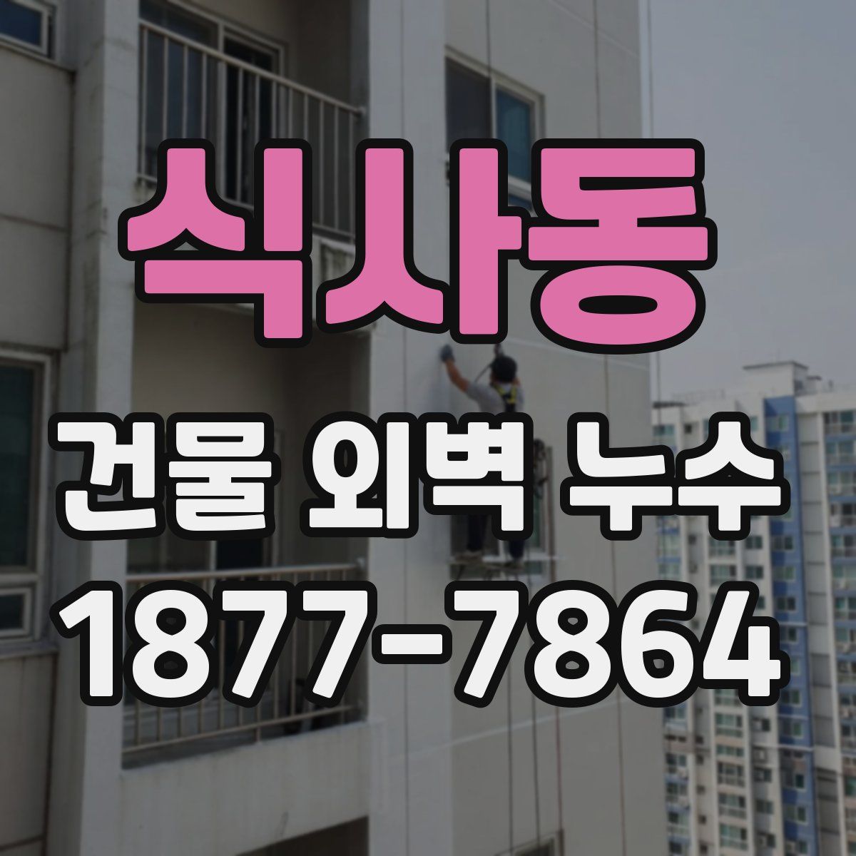 식사동 건물 외벽 누수