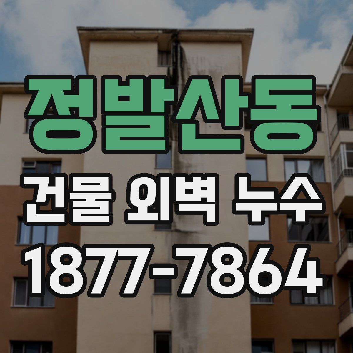 정발산동 건물 외벽 누수