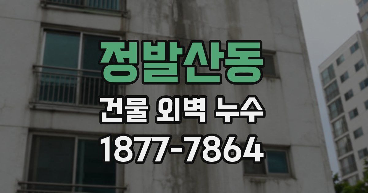 정발산동 건물 외벽 누수
