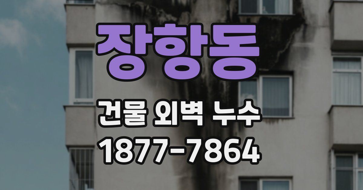 장항동 건물 외벽 누수