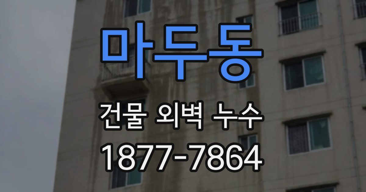 마두동 건물 외벽 누수