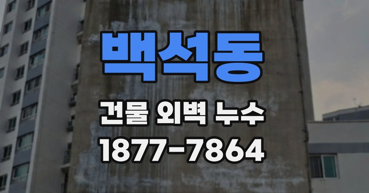 백석동 건물 외벽 누수