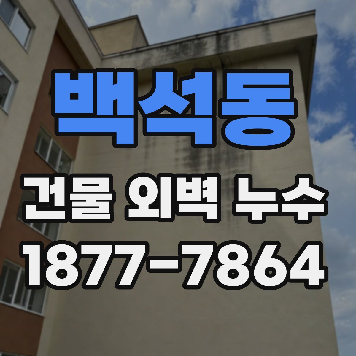백석동 건물 외벽 누수