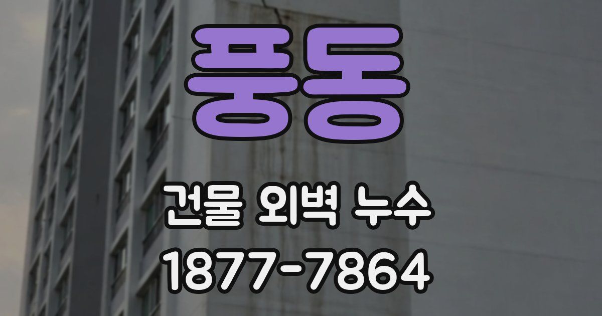 풍동 건물 외벽 누수