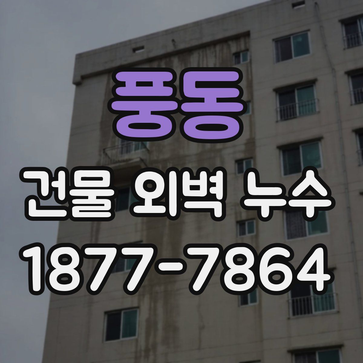 풍동 건물 외벽 누수