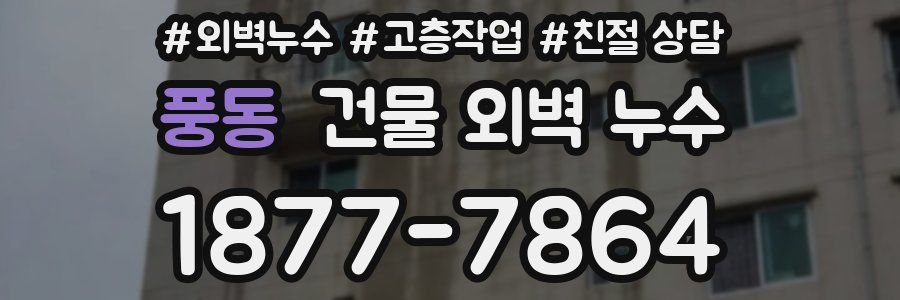 풍동 건물 외벽 누수
