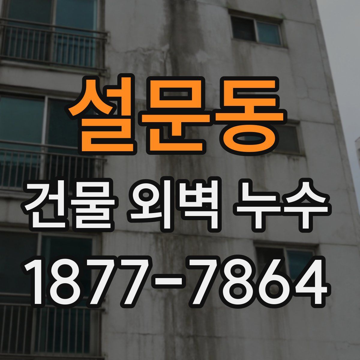 설문동 건물 외벽 누수