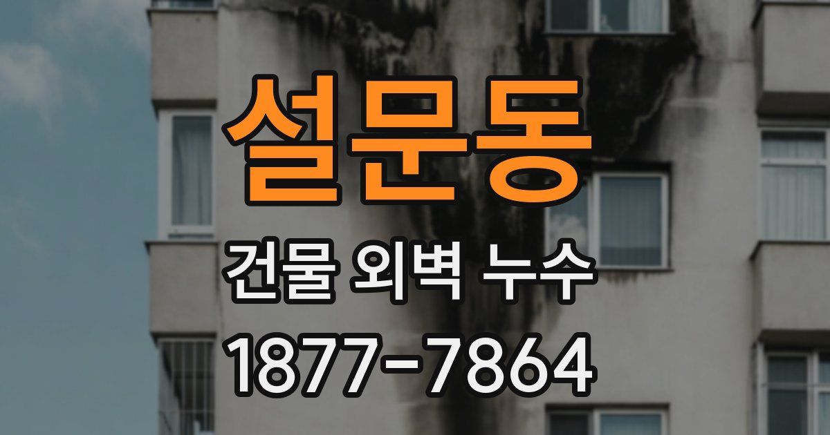 설문동 건물 외벽 누수
