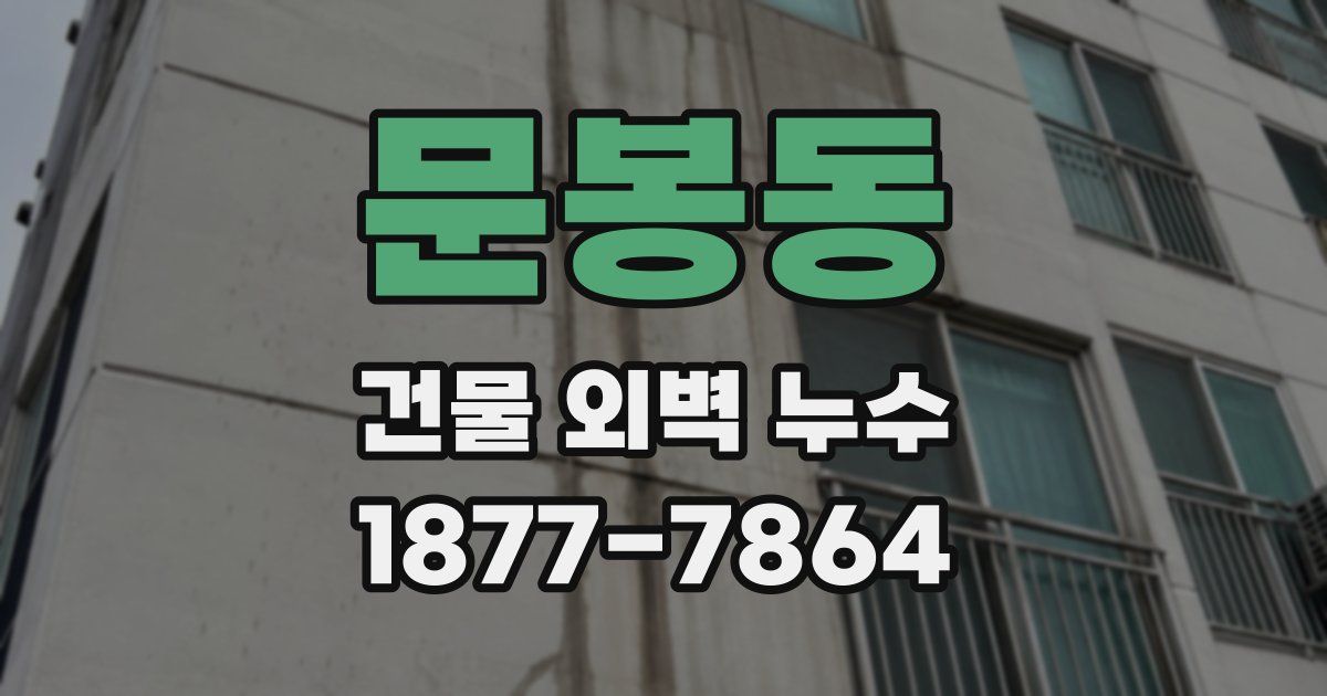 문봉동 건물 외벽 누수