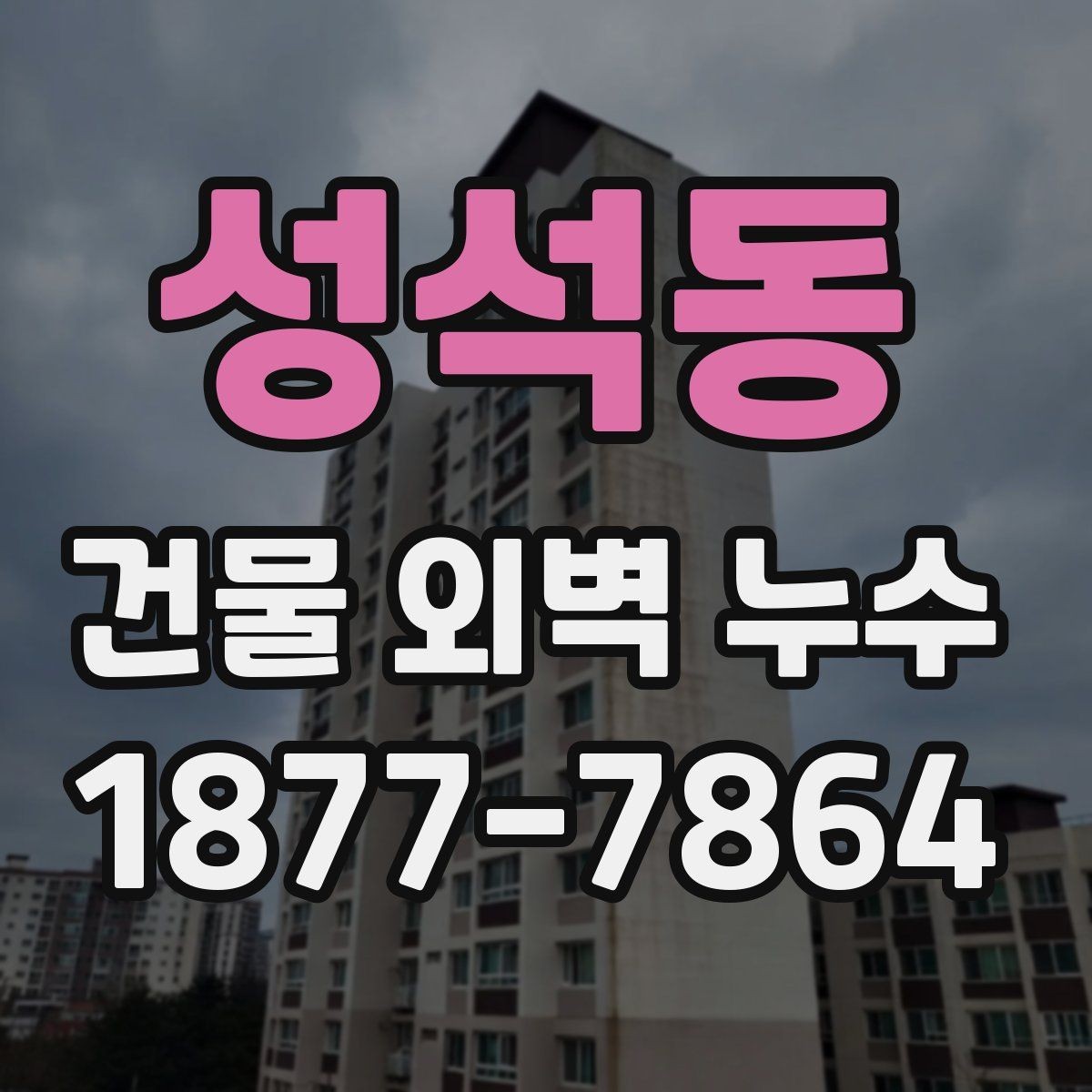 성석동 건물 외벽 누수 원인 찾는 현장 점검 팁