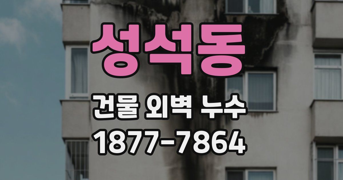 성석동 건물 외벽 누수
