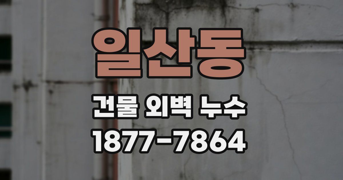 일산동 건물 외벽 누수