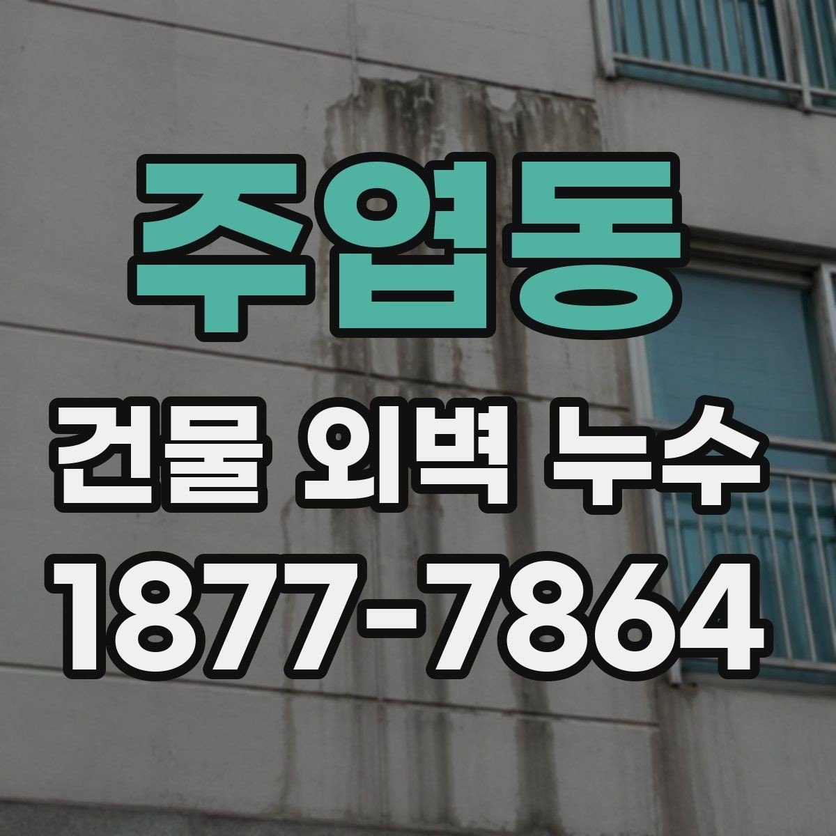 주엽동 건물 외벽 누수 보수 과정에서 발생하는 질문들