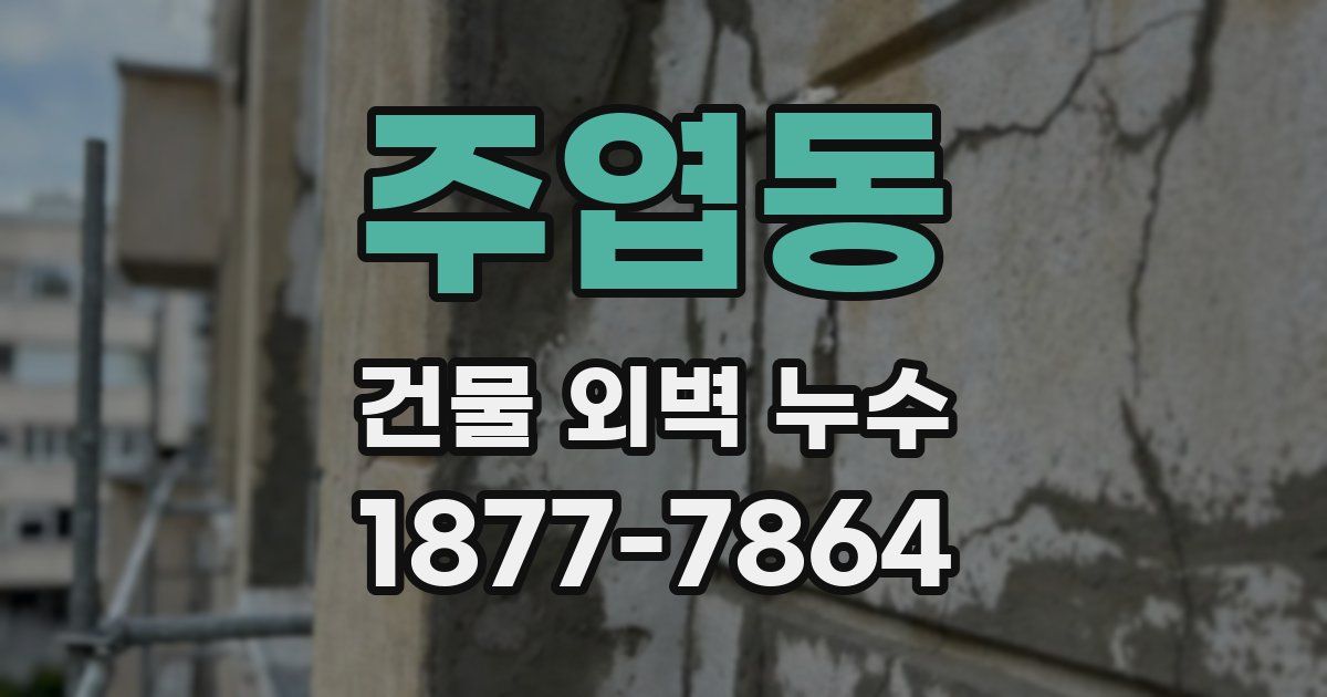 주엽동 건물 외벽 누수