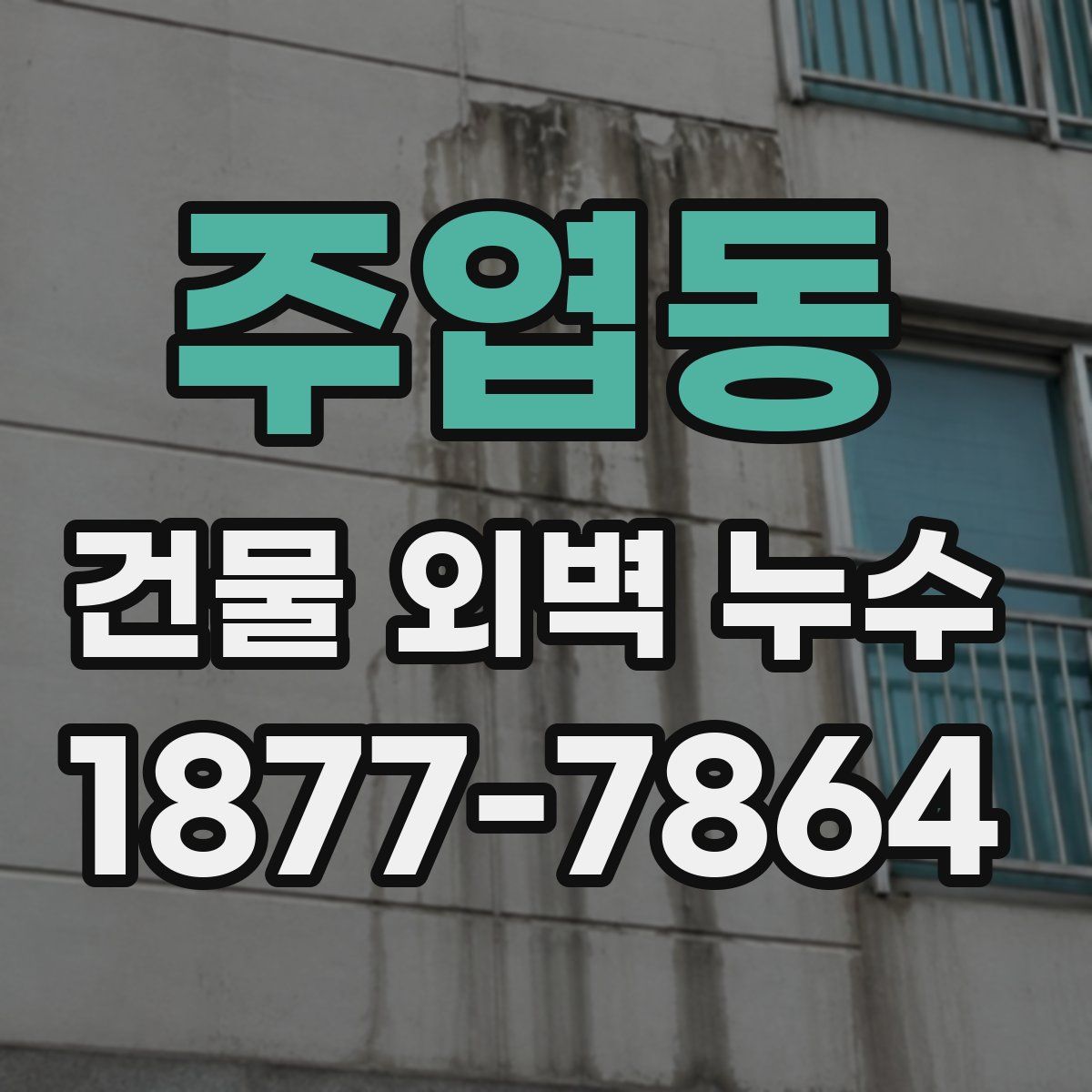 주엽동 건물 외벽 누수