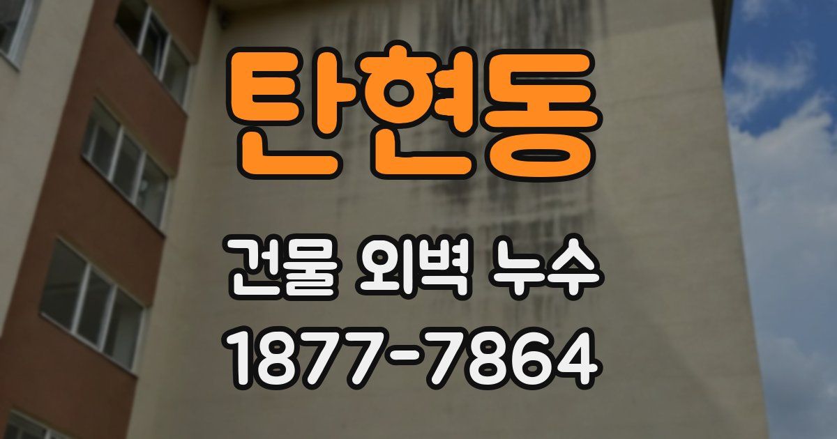 탄현동 건물 외벽 누수