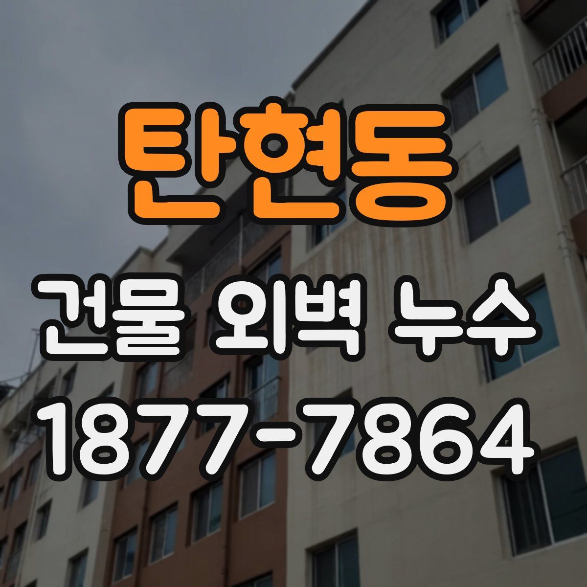 탄현동 건물 외벽 누수