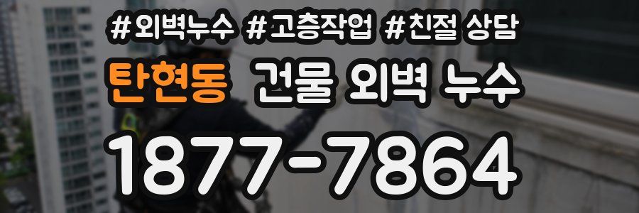 탄현동 건물 외벽 누수