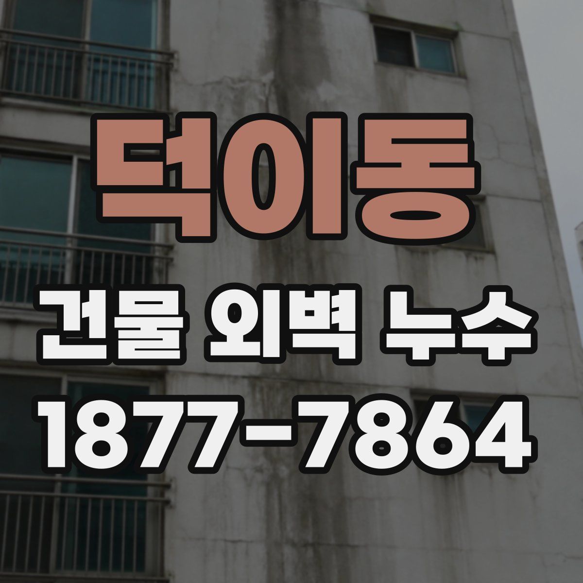 덕이동 건물 외벽 누수
