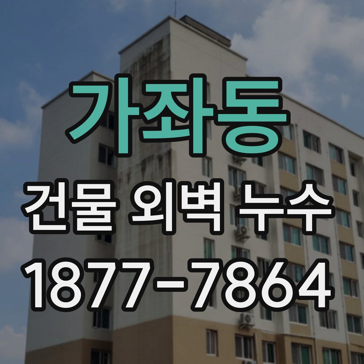 가좌동 건물 외벽 누수