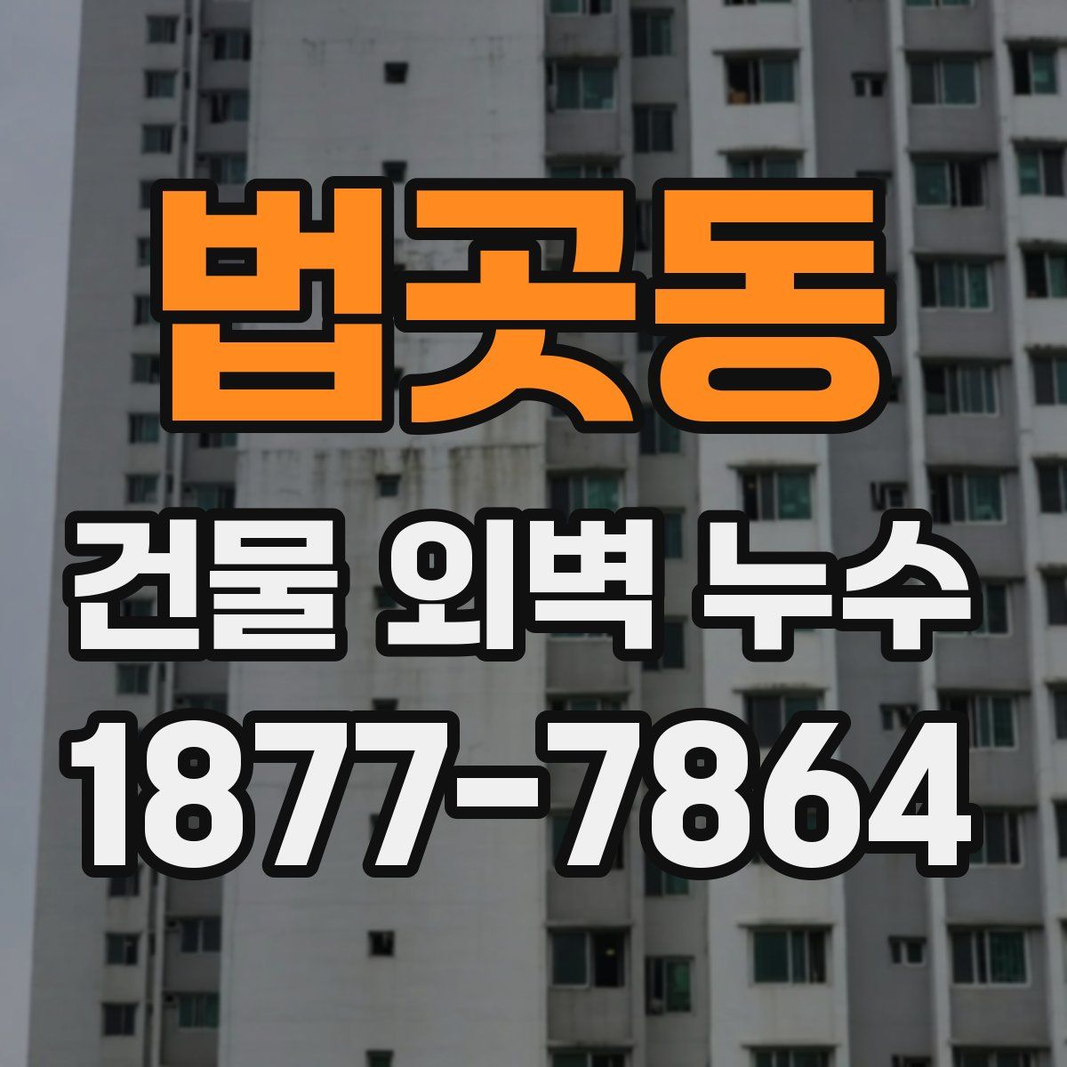 법곳동 건물 외벽 누수
