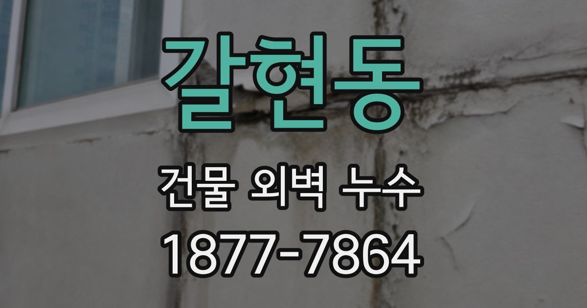 갈현동 건물 외벽 누수
