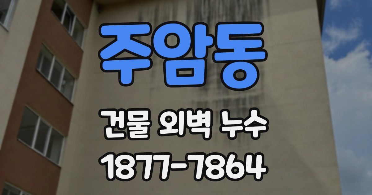 주암동 건물 외벽 누수