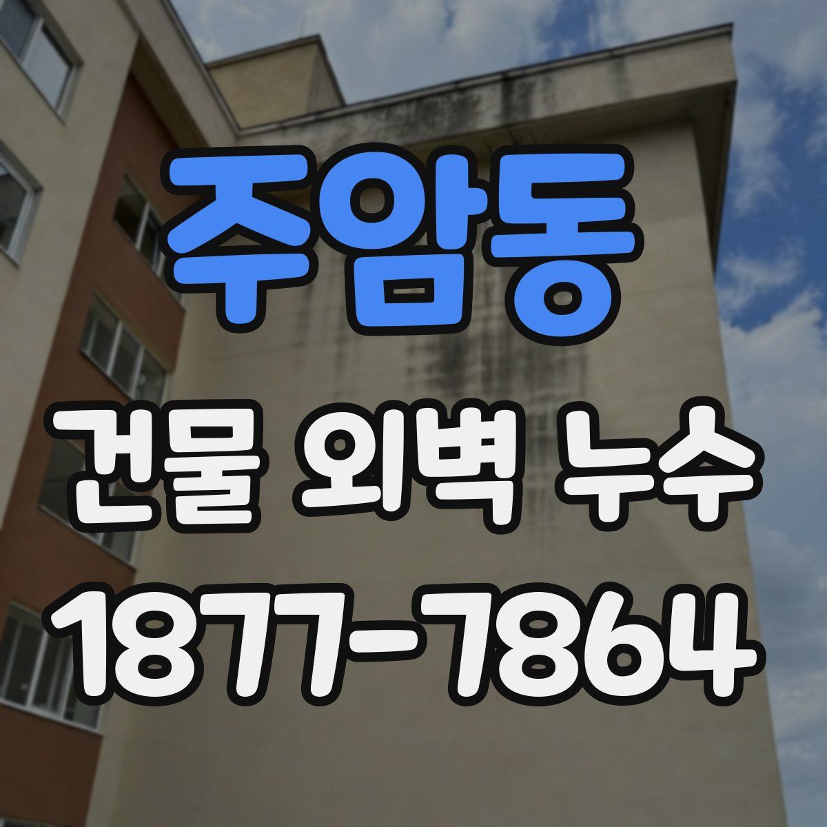 주암동 건물 외벽 누수