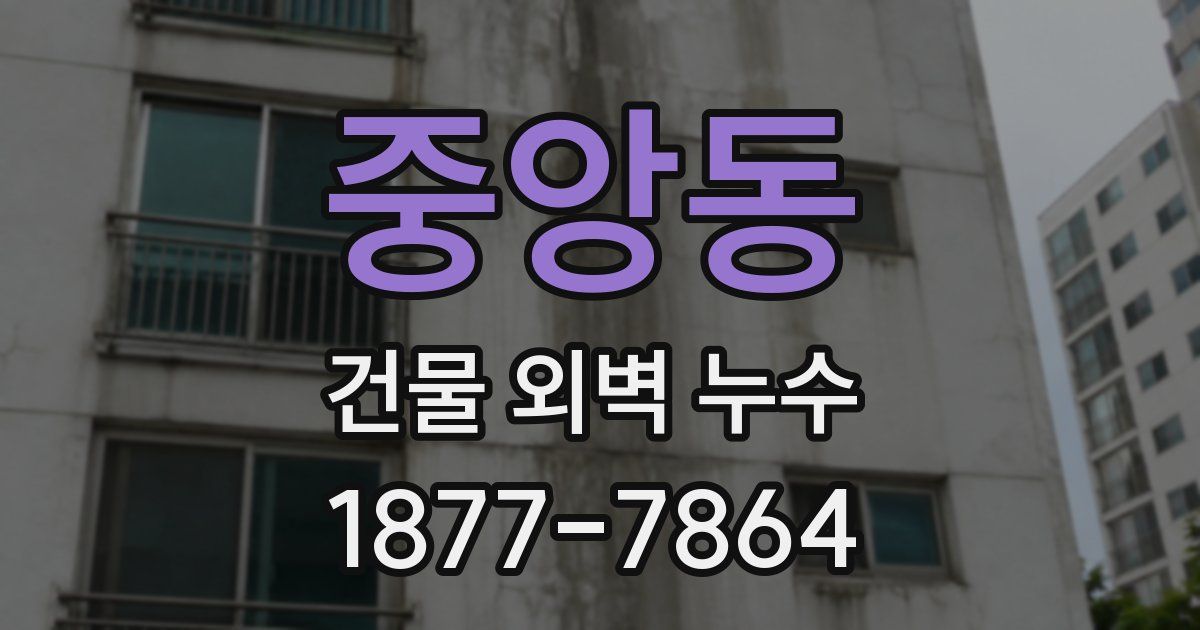 중앙동 건물 외벽 누수