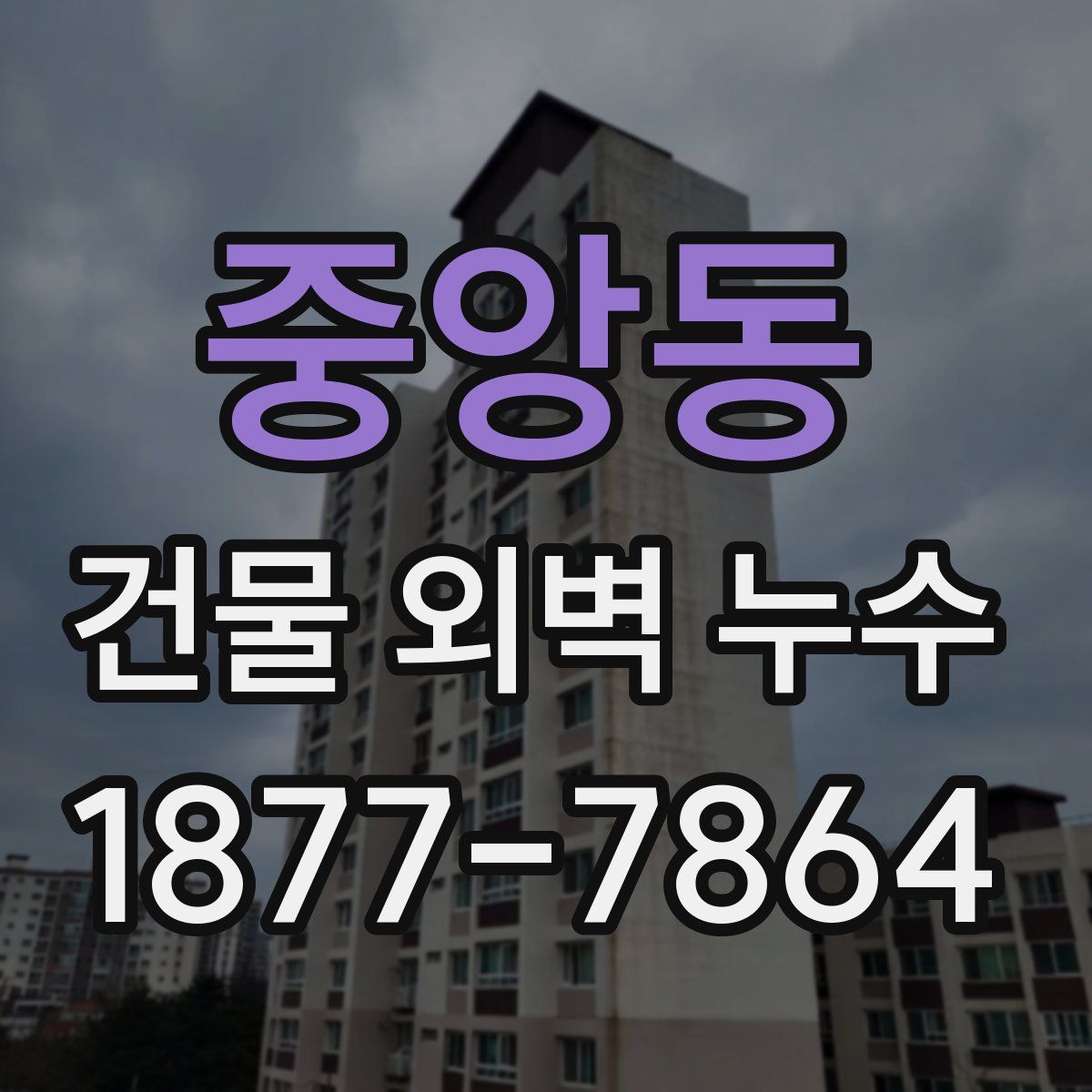 중앙동 건물 외벽 누수