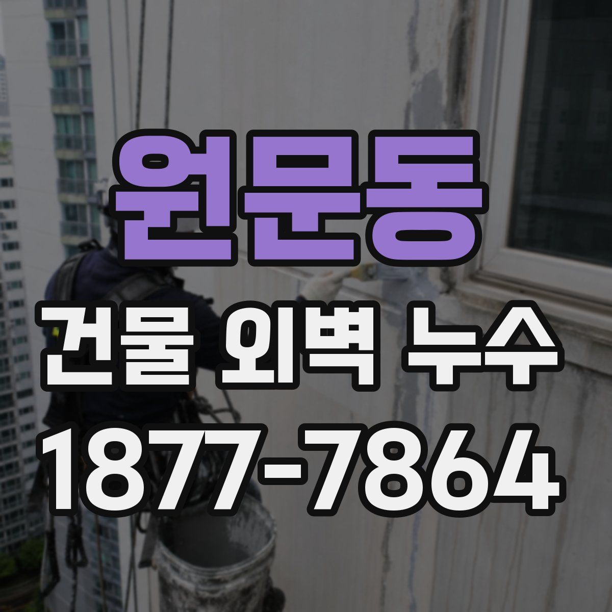원문동 건물 외벽 누수