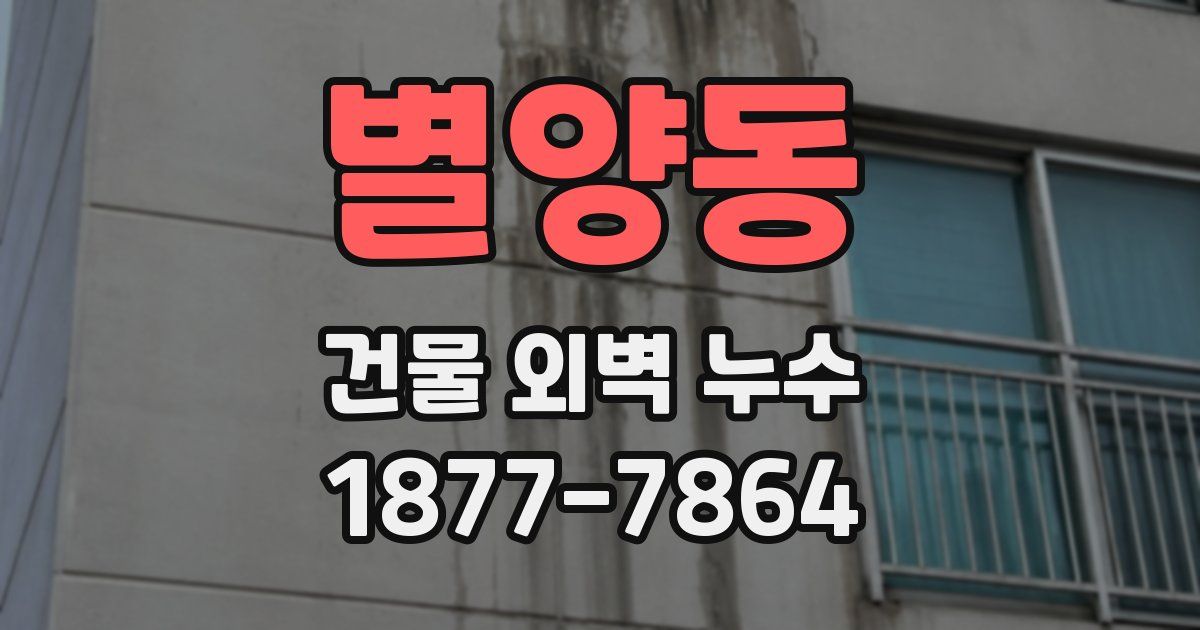 별양동 건물 외벽 누수
